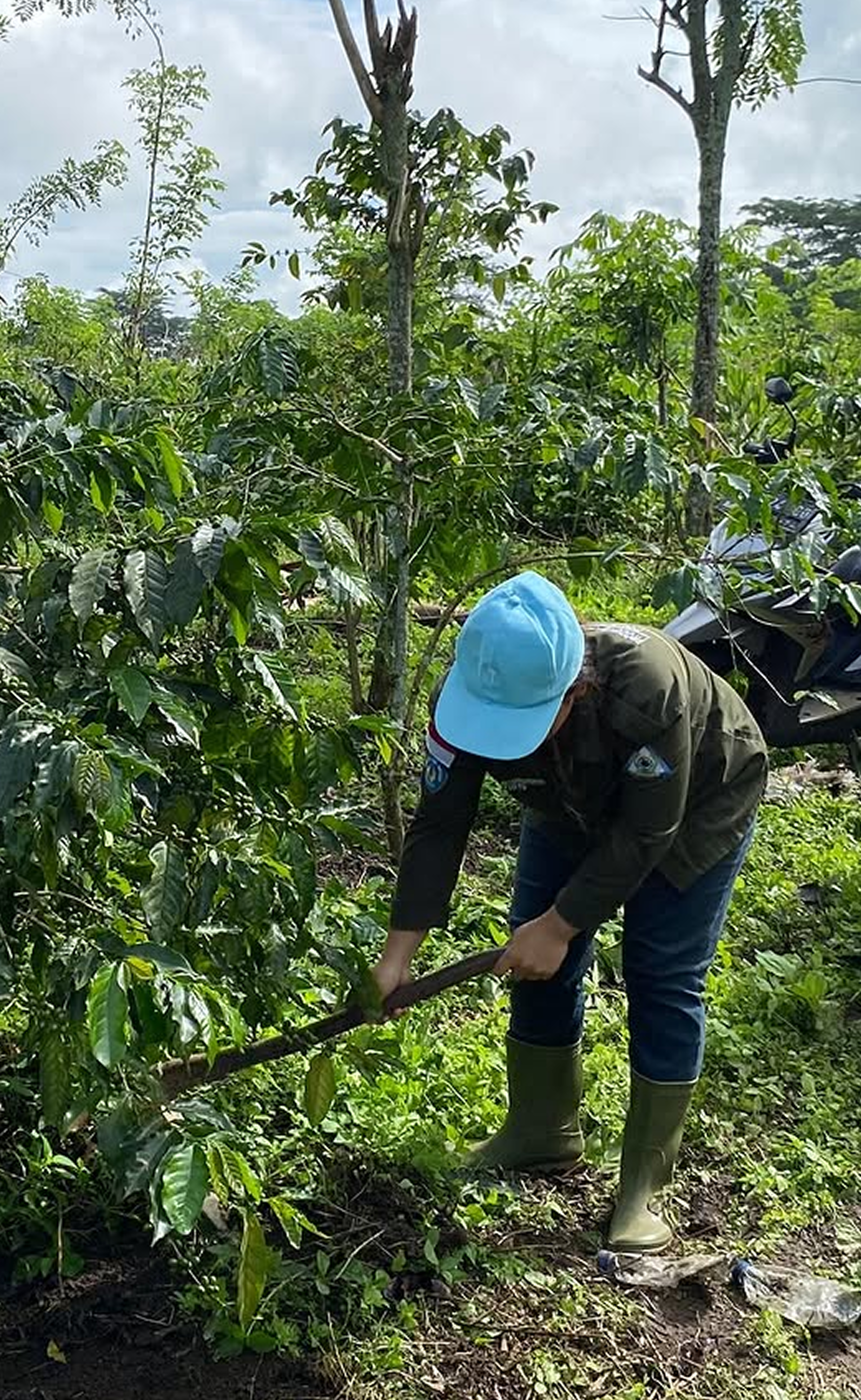 Kegiatan Kebun