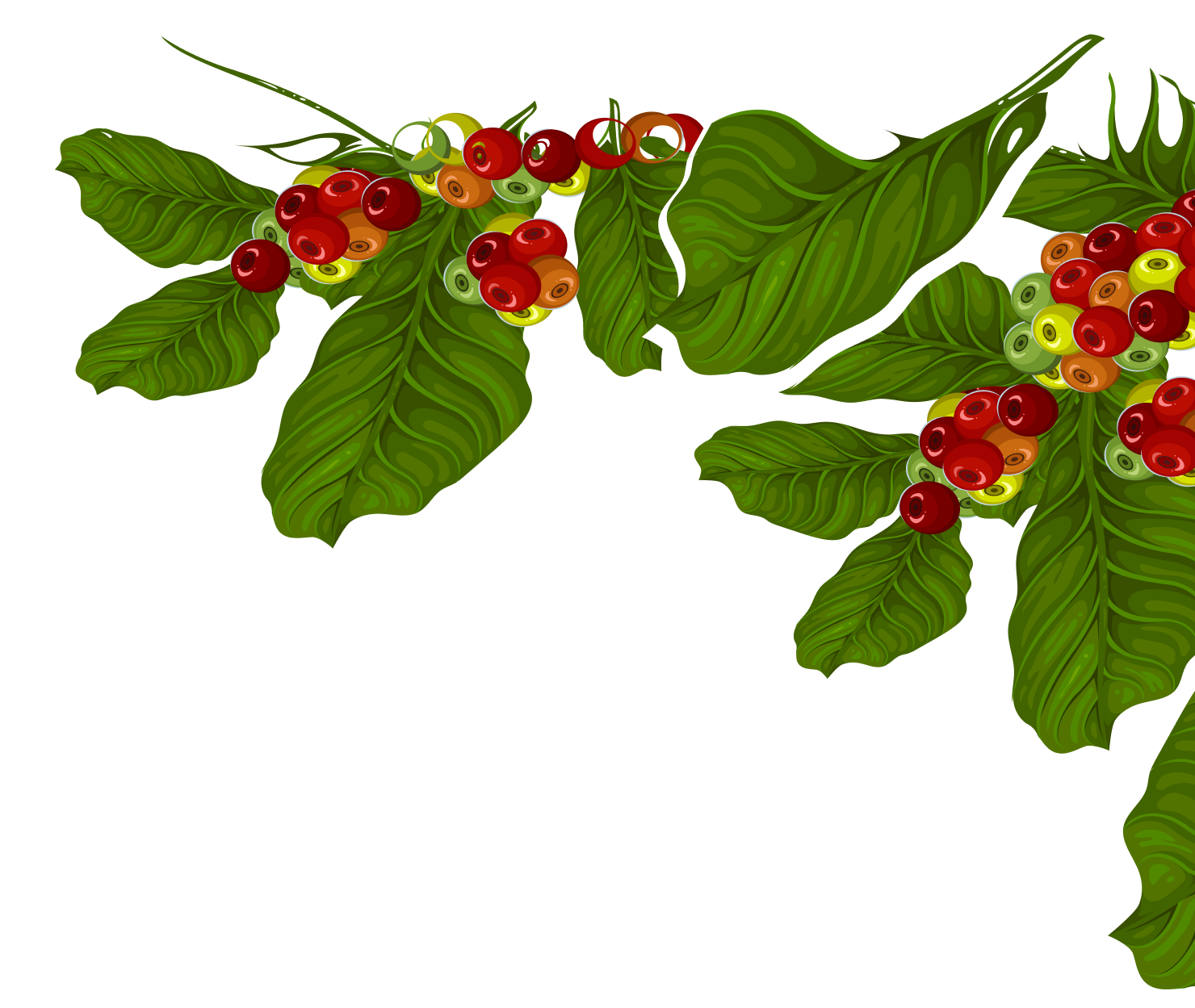 Bunga Hiasan